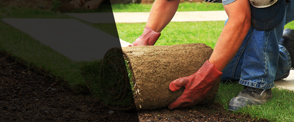 Fort Rucker Landscapers